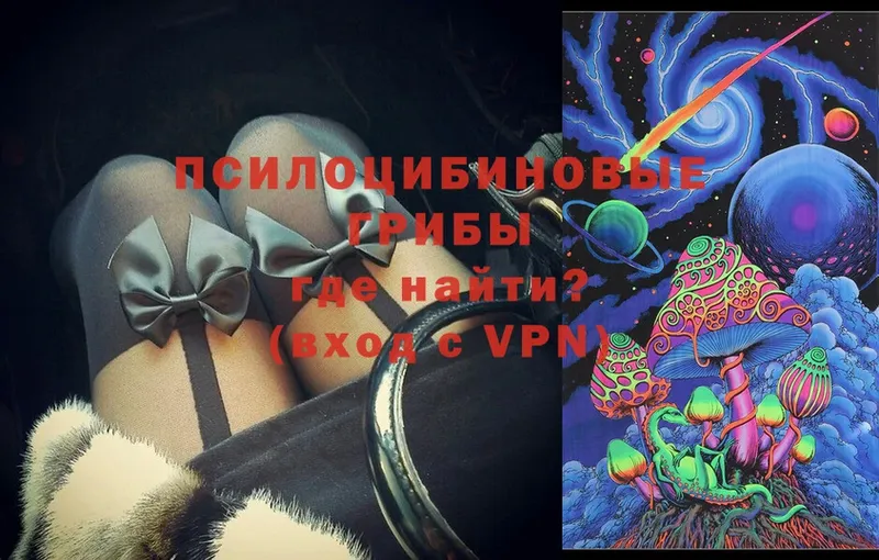 кракен   Карачаевск  Псилоцибиновые грибы Magic Shrooms 